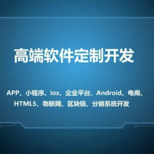 什么是软件定制开发？