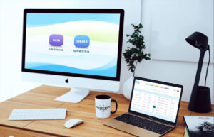 CMS 软件是什么 ?